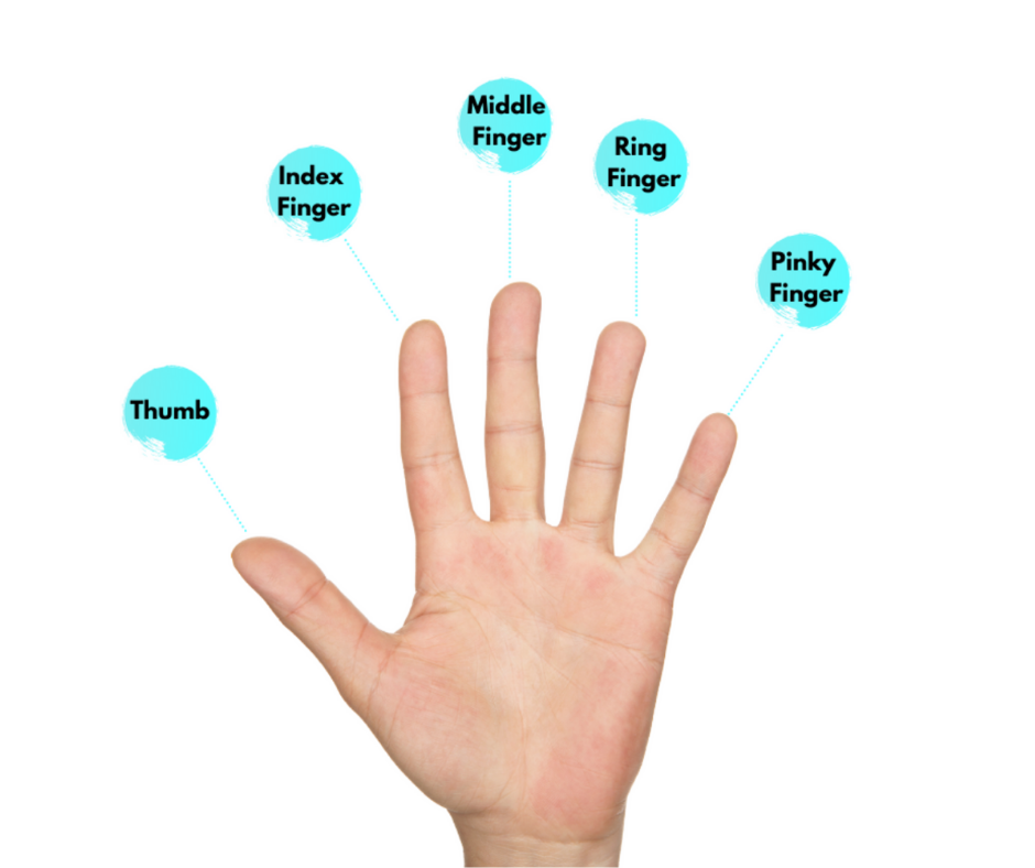 Hand Strength Program *Digital Download*