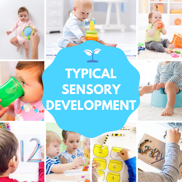 WHAT IS TYPICAL SENSORY DEVELOPMENT?
