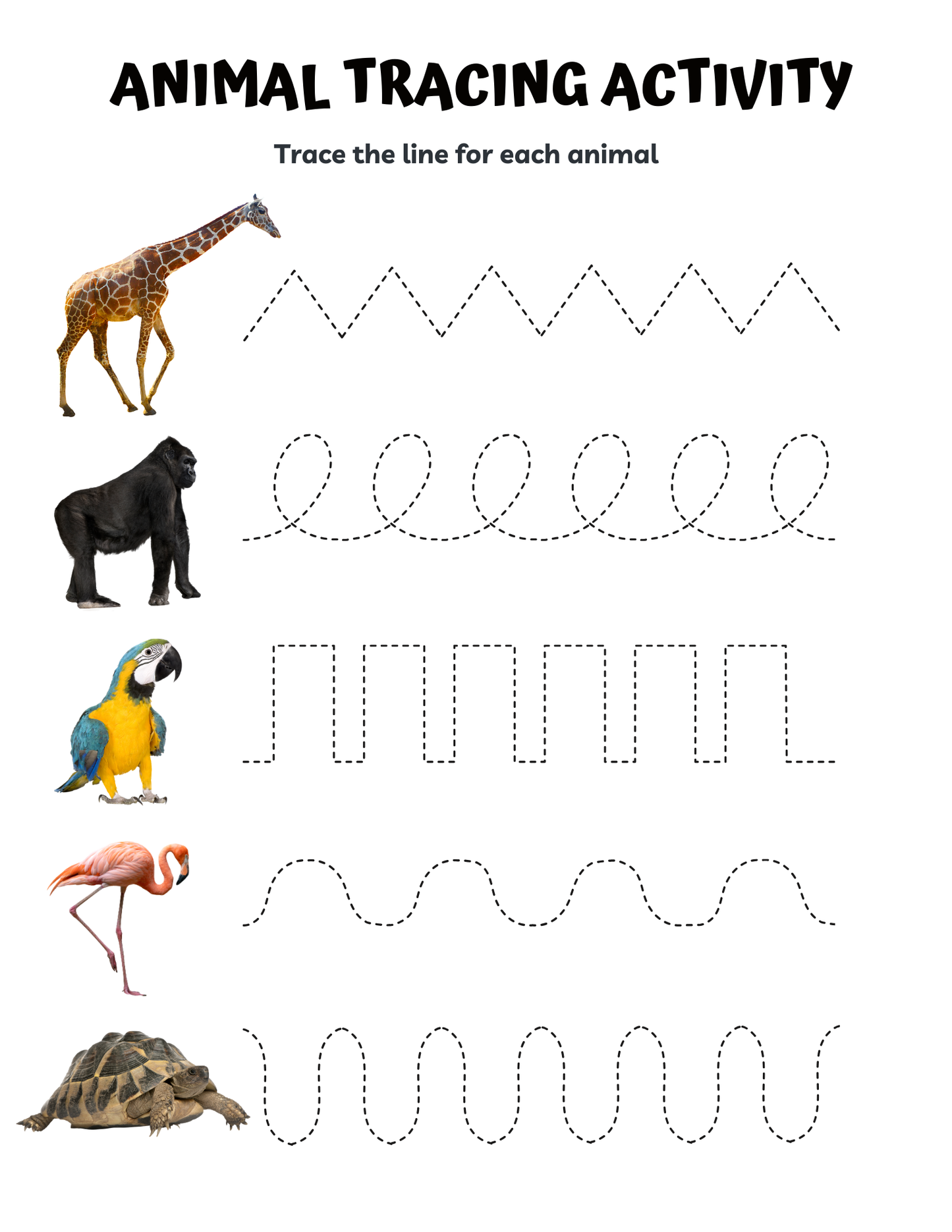 Zoo Animals Memory Care Bundle
