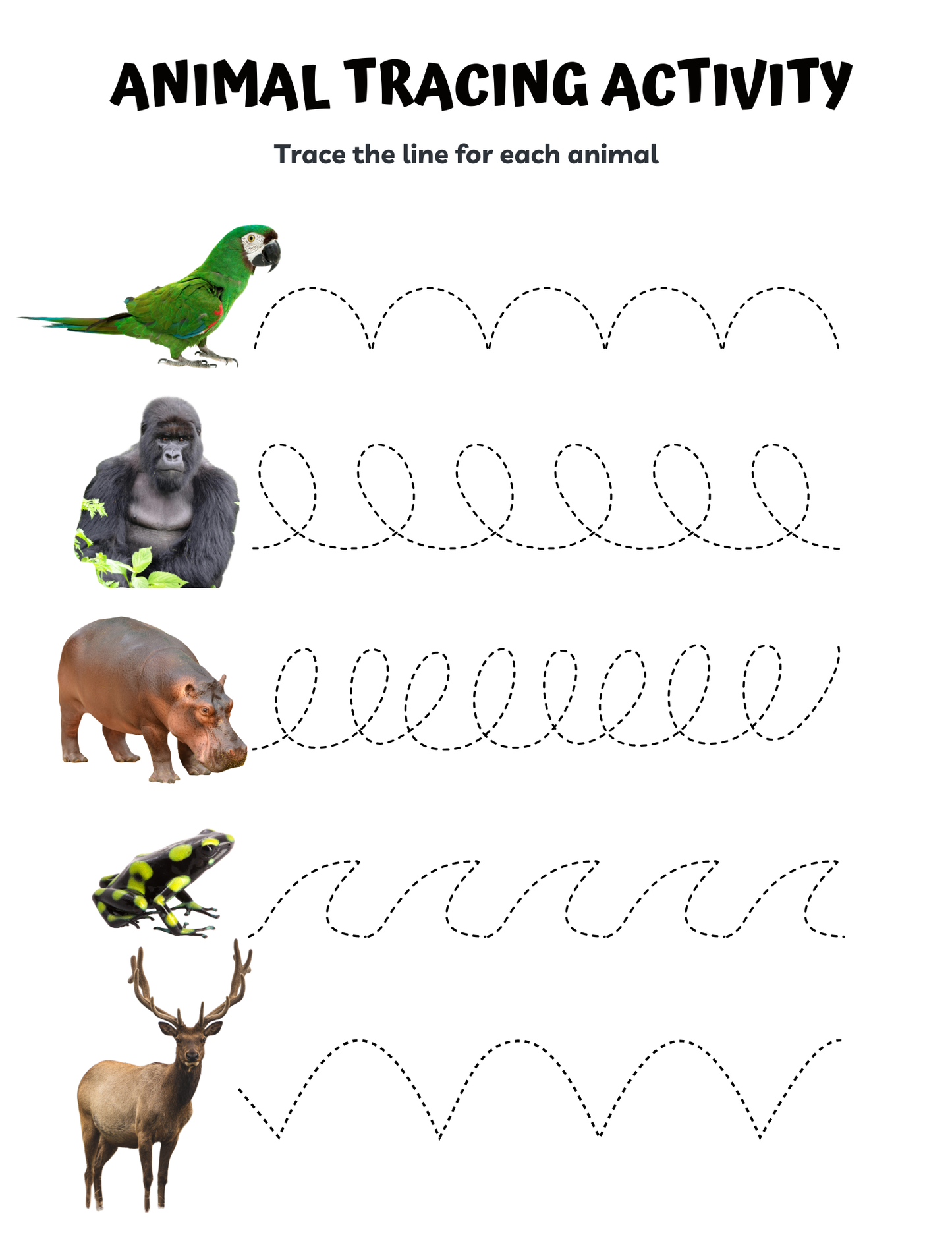 Zoo Animals Memory Care Bundle