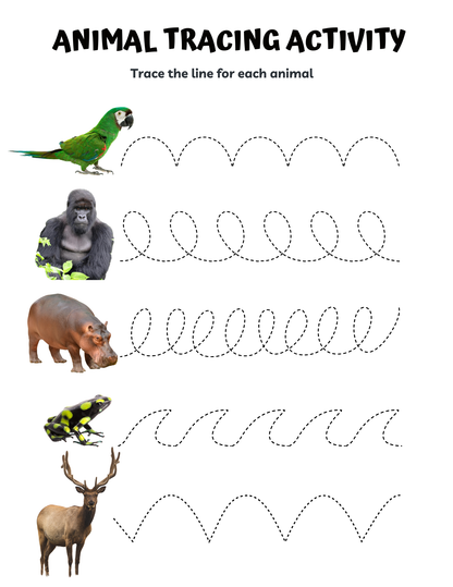 Zoo Animals Memory Care Bundle