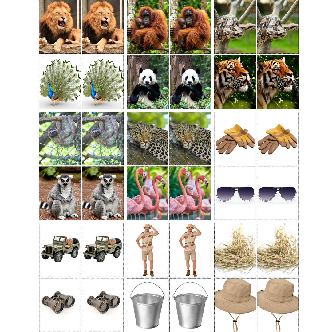 Zoo Animals Memory Care Bundle