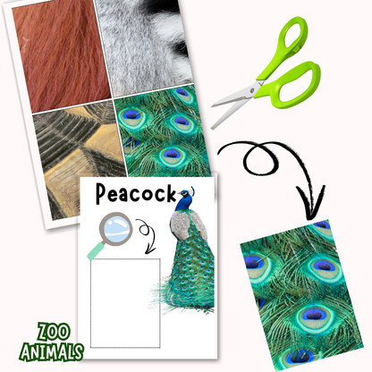 Zoo Animals Memory Care Bundle