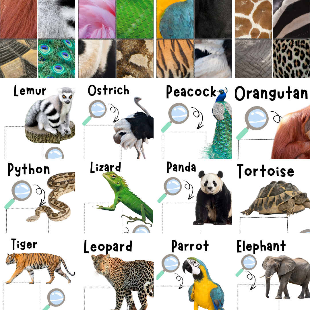 Zoo Animals Memory Care Bundle