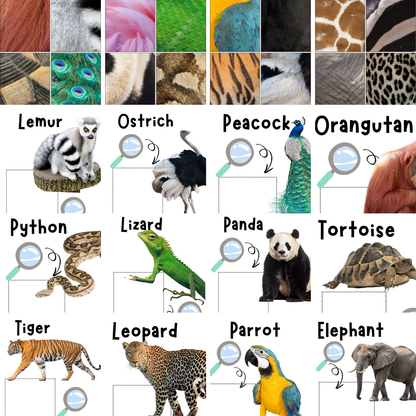 Zoo Animals Memory Care Bundle
