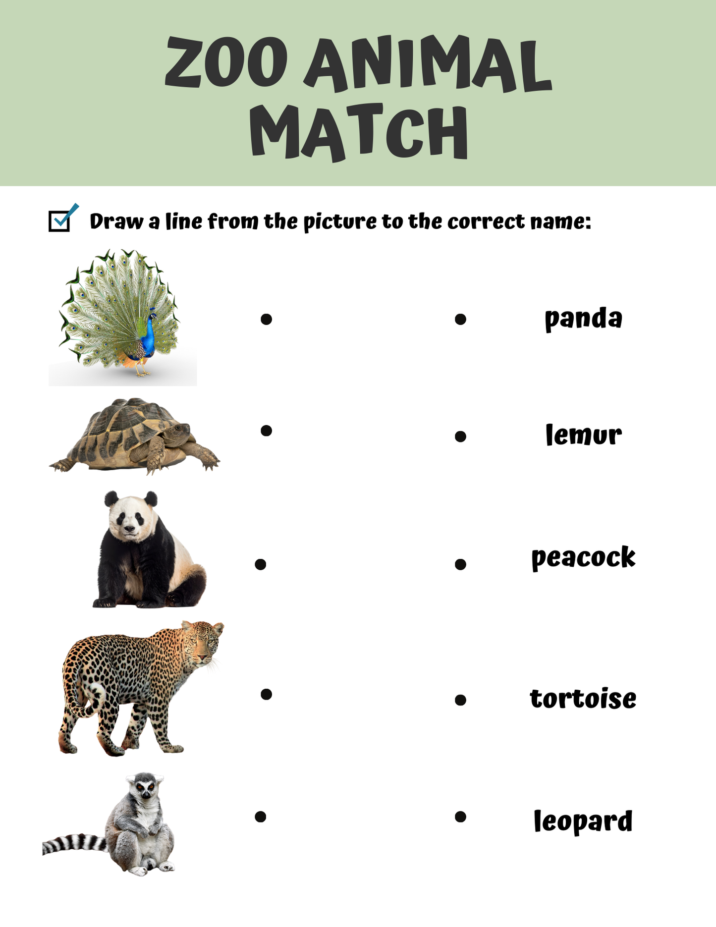 Zoo Animals Memory Care Bundle