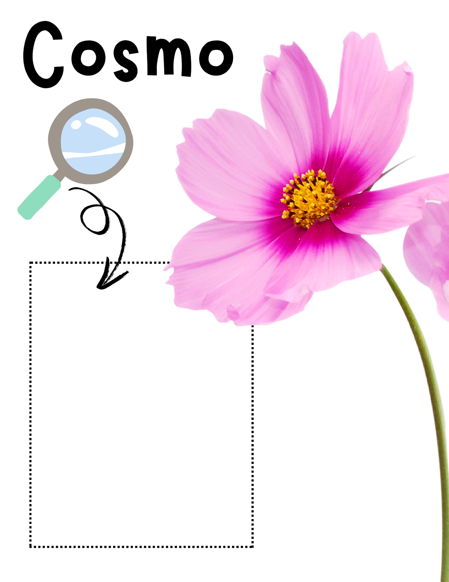 Flowers & Pollinators Memory Care Bundle