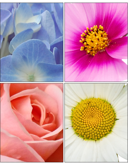 Flowers & Pollinators Memory Care Bundle