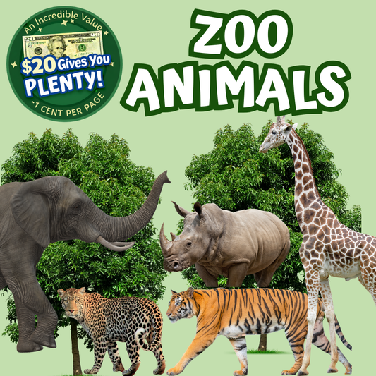 Zoo Animals Memory Care Bundle