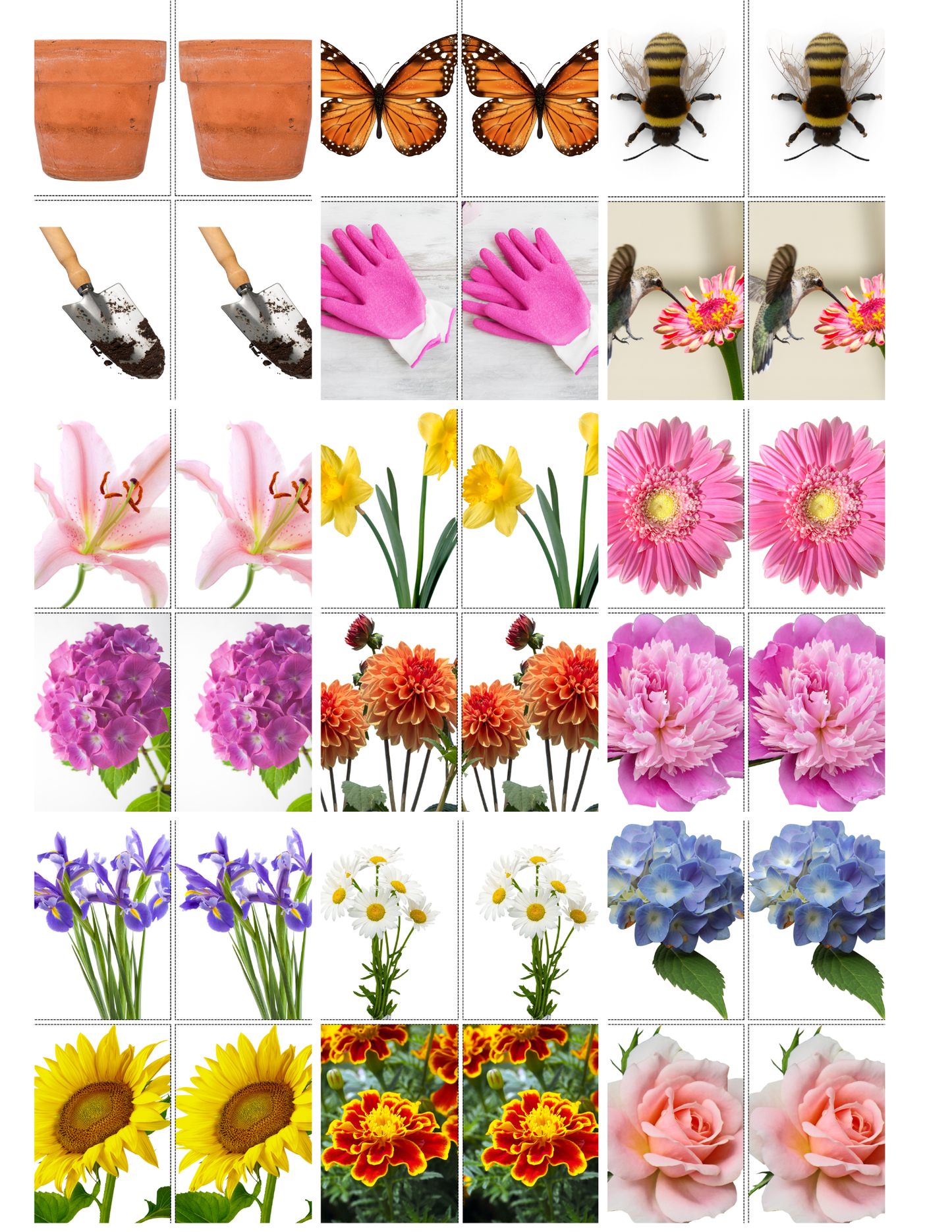 Flowers & Pollinators Memory Care Bundle