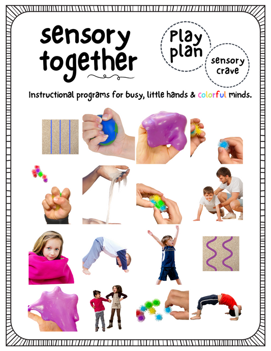 Sensory Crave Program (Sensory Seekers) *Digital Download*