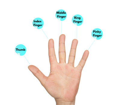 Hand Strength Program *Digital Download*