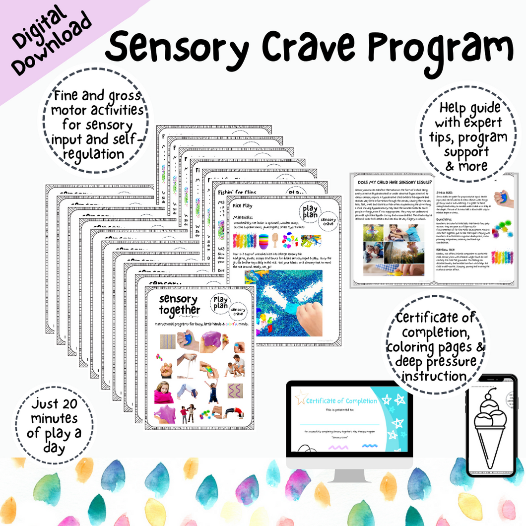 Sensory Crave Program (Sensory Seekers) *Digital Download*