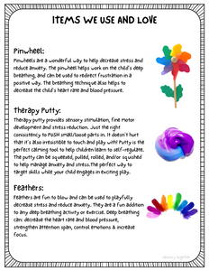 Sensory Soothe Program (Anxiety, Meltdowns, Self-Regulation) *Digital Download*